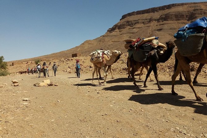Camel Trek Morocco 8 Days - Meeting Point and Directions