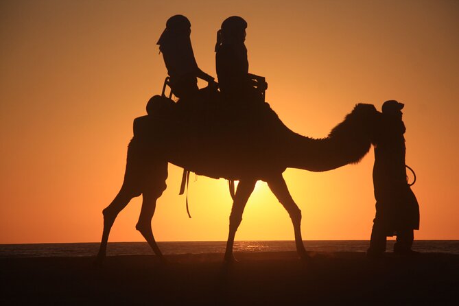 Camel Trek With 1 Night in Luxury Camp With Dinner Sundbording - Traveler Photos and Reviews