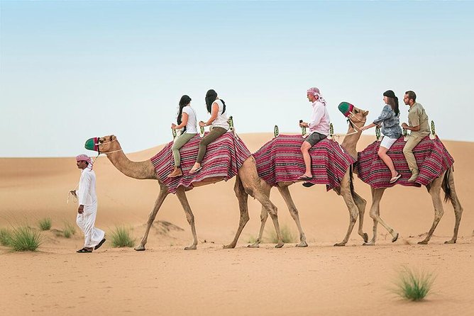 Camel Trekking Dubai With Morning Dune Bashing and Sand Boarding - Booking and Pricing Information