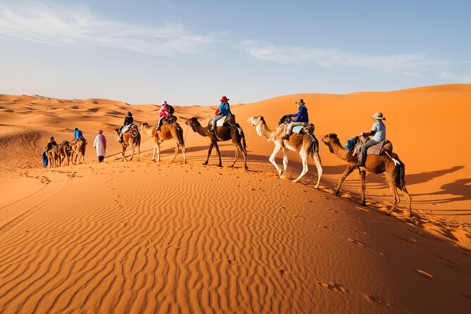Camel Trekking in Abu Dhabi With Shared Transfer, Fun and More - Whats Included