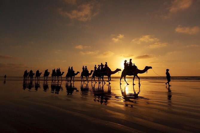 Camel Trekking in Abu Dhabi With Shared Transfer, Fun and More - What To Expect