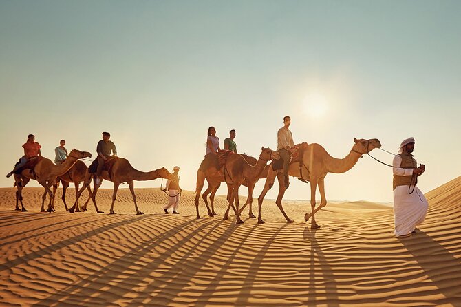 Camel Trekking in Abu Dhabi With Shared Transfer, Fun and More - Directions