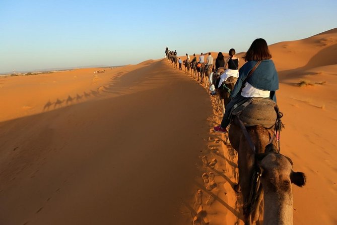 Camel Trekking in Desert Merzouga for 1Night In Merzouga - Traveler Experience