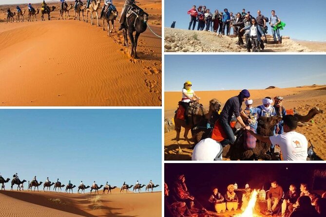 Camel Trekking in Desert Merzouga for 1Night In Merzouga - Reviews