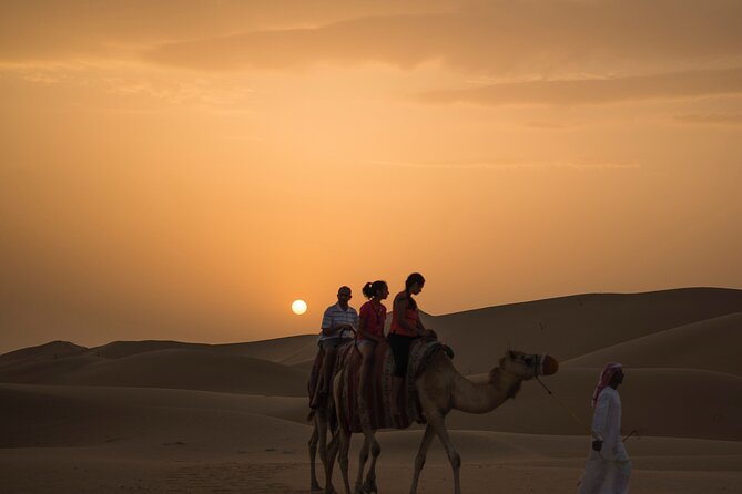 Camel Trekking in Open Red Dunes Desert - Exploring the Majestic Red Dunes