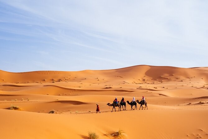 Camel Trekking in Open Red Dunes Desert - Common Questions
