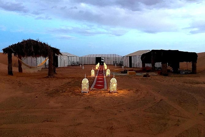 Camel Trekking & Overnight Luxury Camp - Overview of Camel Trekking Experience