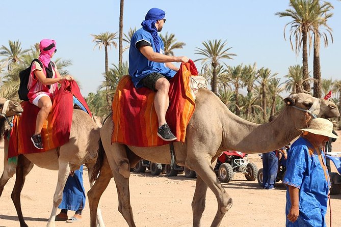 Camel Trekking Through Marrakeshs Palm Grove - Reviews and Price