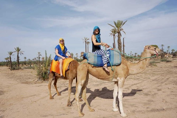 Camel Trekking Through Marrakeshs Palm Grove - Directions to the Palmeraie