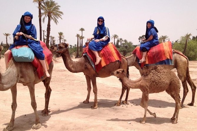 Camel Trekking Through Marrakeshs Palm Grove - Tips for an Enjoyable Camel Trekking Experience
