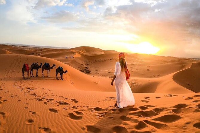 Camel Trekking Tour in Dubai Desert BBQ Dinner Sand Boarding Live Shows... - Bedouin Culture and Heritage Experience