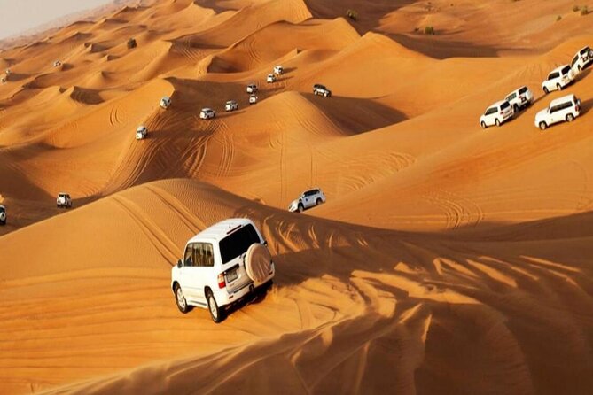 Camel Trekking Tour in Dubai Desert BBQ Dinner Sand Boarding Live Shows... - Traveler Reviews and Ratings