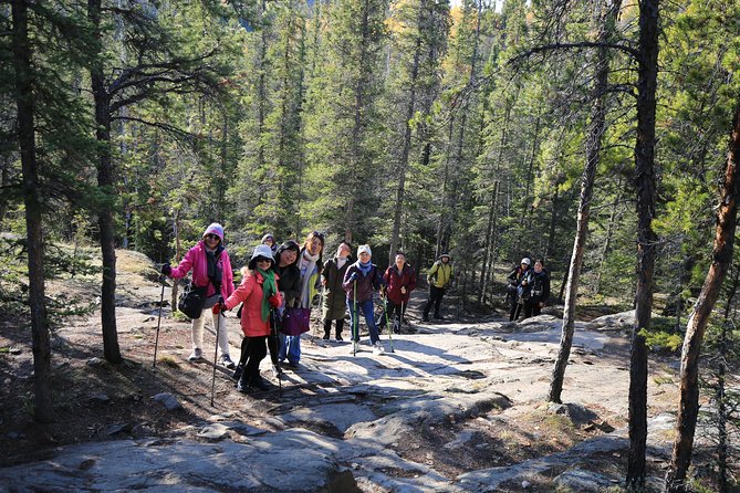 Cameron Falls Hiking Tour - Inclusions and Amenities