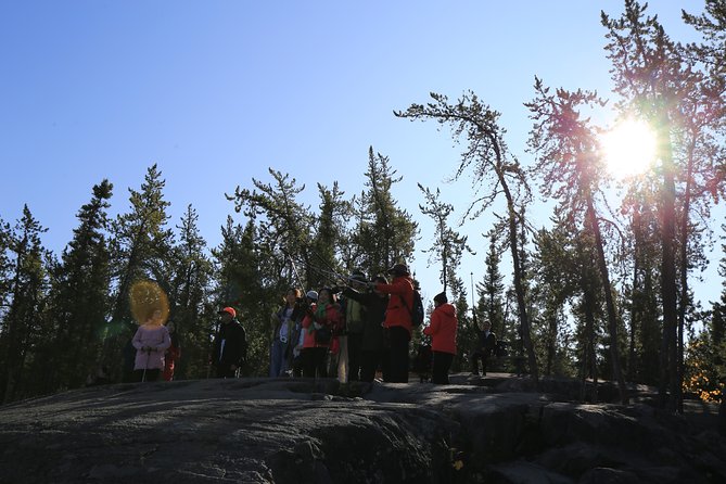 Cameron Falls Hiking Tour - Important Information for Travelers