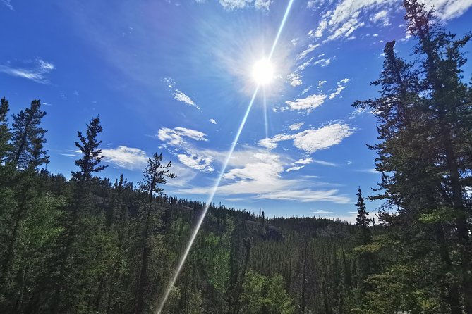 Cameron Falls Hiking Tour - Overall Customer Reviews and Ratings