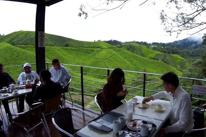 Cameron Highland Day Tour - FAQ