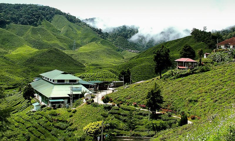 Cameron Highland Day Tour from Kuala Lumpur - Is the price fair?