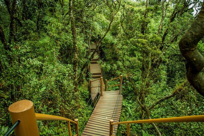 Cameron Highland Day Tour From Kuala Lumpur - Cancellation Policy Details