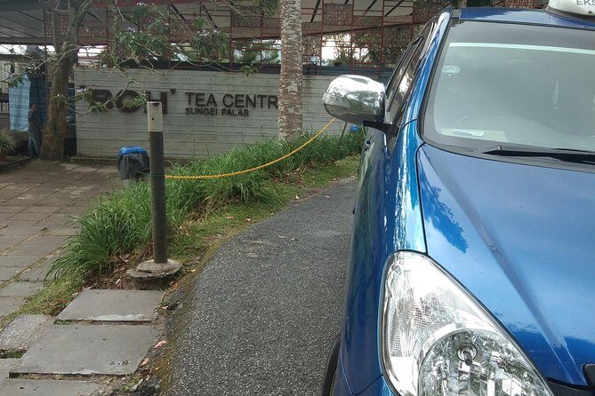 Cameron Highland Day Trip - The Sum Up