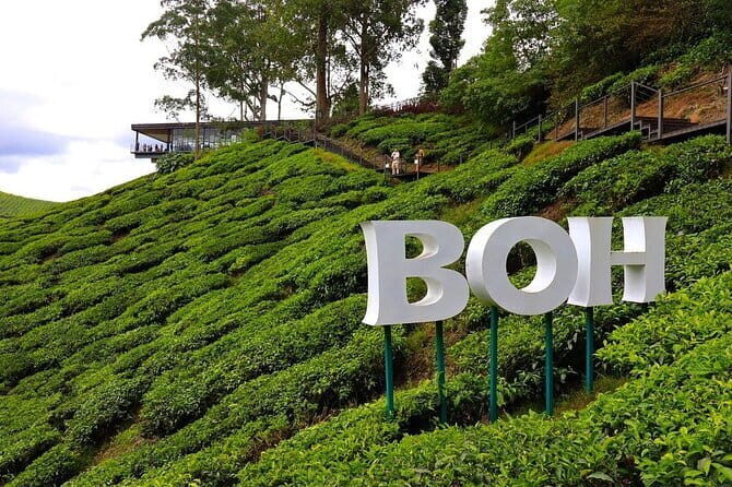 Cameron Highland Full Day Tour from KL City Private Tour - Exploring the Cameron Highlands with a Private Full-Day Tour from Kuala Lumpur