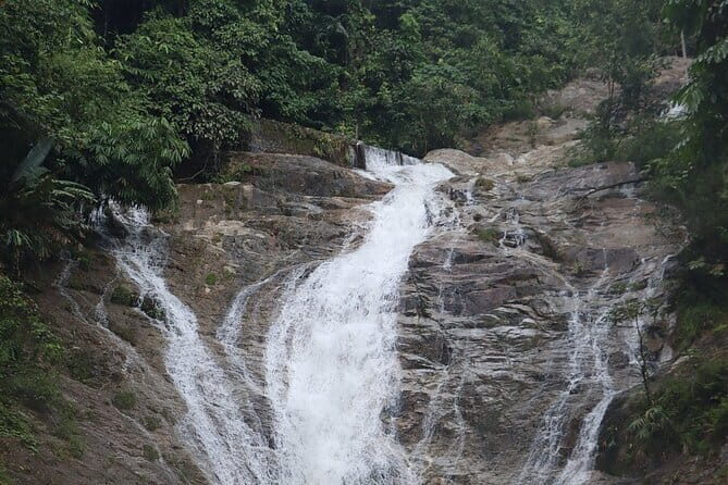 Cameron Highland Full Day Tour from KL City Private Tour - Good To Know