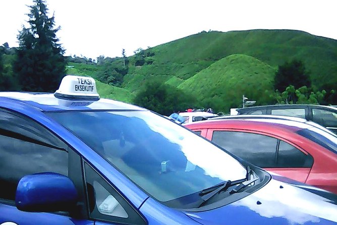 Cameron Highland Private Day Tour - Cost and Reviews