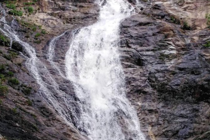 Cameron Highland Private Day Tour - Additional Information