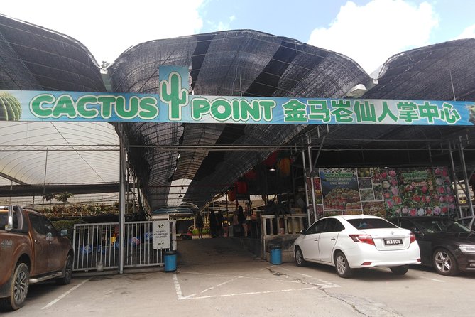 Cameron Highland Private Day Tour - Meals and Accessibility