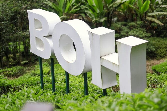 Cameron Highland Private Day Tour From Ipoh - Who Should Book This Tour?