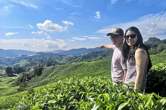 Cameron Highland Private Day Tour From Ipoh - FAQs