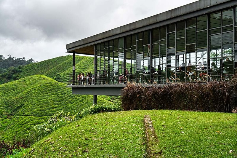 Cameron Highland Private Day Tour from Kuala Lumpur - A highland escape with a long road attached