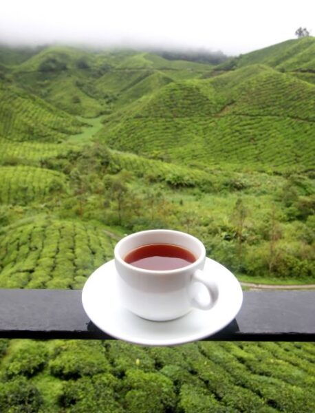 Cameron Highlands 1 Day Tour From Kuala Lumpur - Exploring the Sam Poh Temple