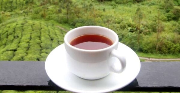 Cameron Highlands 1 Day Tour From Kuala Lumpur - Additional Stops and Activities