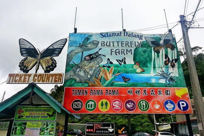 Cameron Highlands Amazing Day Trip Tour With Local Lunch - Meal Experience