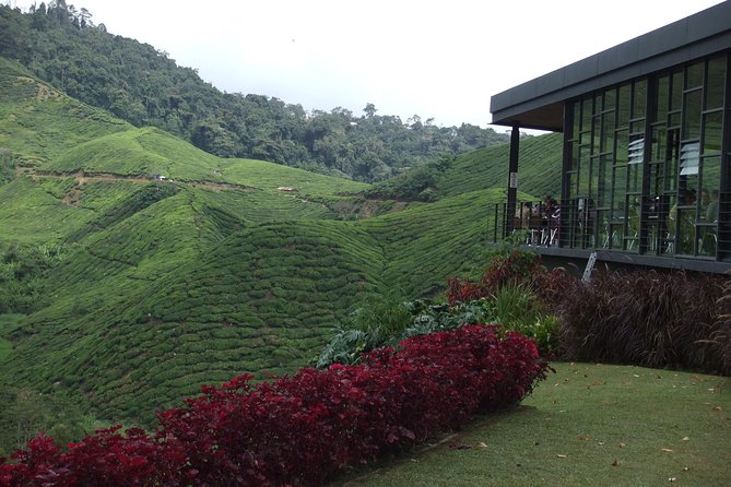 Cameron Highlands Amazing Day Trip Tour With Local Lunch - Customization Options