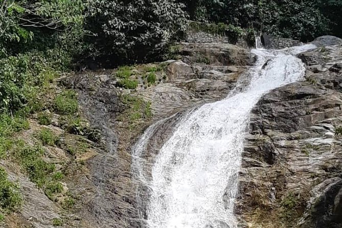 Cameron Highlands Amazing Day Trip Tour With Local Lunch - Frequently Asked Questions