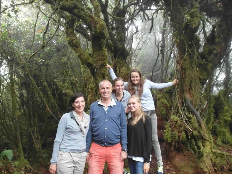 Cameron Highlands and Mossy Forest Half Day Tour - Price and what the extra fees mean