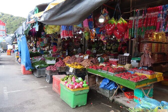 Cameron Highlands Day Tour From Kuala Lumpur 2025 - Good To Know