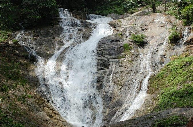 Cameron Highlands Day Tour From Kuala Lumpur 2025 - Who Should Consider This Tour?