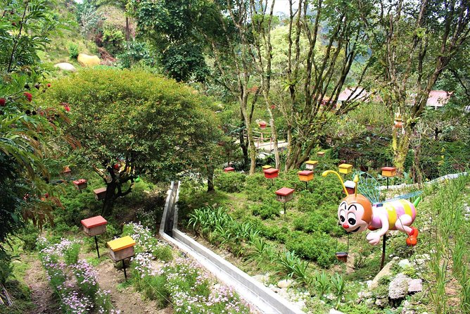 Cameron Highlands Day Tour From Kuala Lumpur - Cancellation Policy