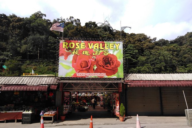 Cameron Highlands Day Trip - Dining and Food Experiences