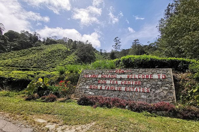 Cameron Highlands Full-Day Nature Tour - Tour Overview