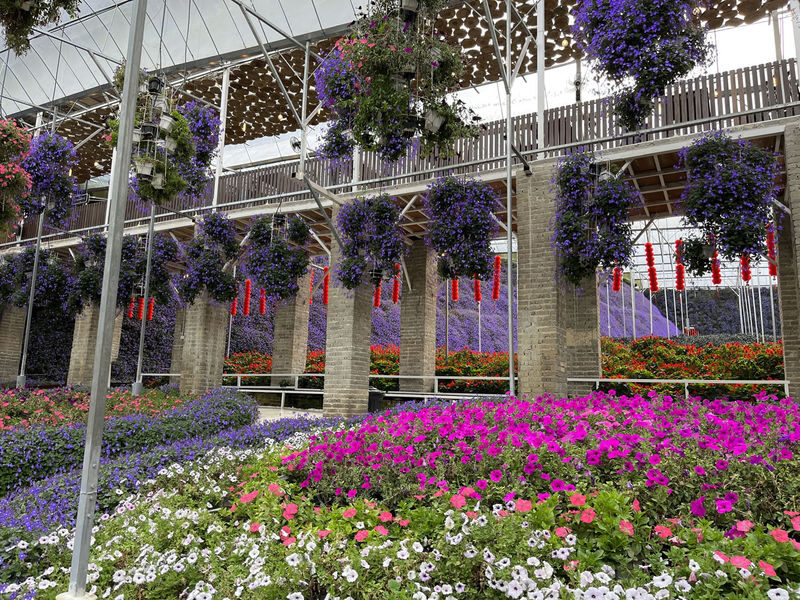 Cameron Highlands Full Day Sightseeing Tour - Tea slopes, farm stops and a full day out