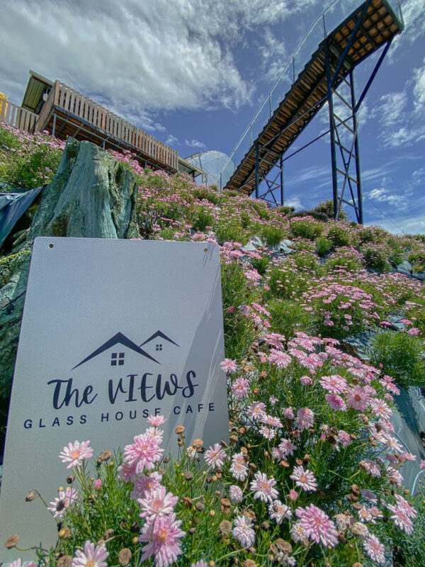 Cameron Highlands Full Day Sightseeing Tour - Strawberry milkshakes and a sheep-farm pause