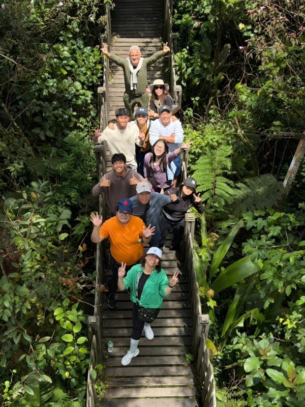 Cameron Highlands Full Day Tour - Walking the forest above the tea gardens