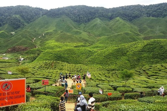 Cameron Highlands Full Day Tour (Pick up From Kuala Lumpur) - Additional Information