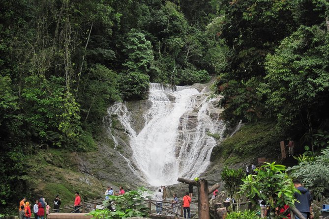 Cameron Highlands, Garden of Nature Full Day Private Guided Tour - Itinerary Overview