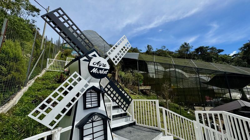 Cameron Highlands Guided Day Tour with Lunch (SIC) - Guides, comfort and practical prep