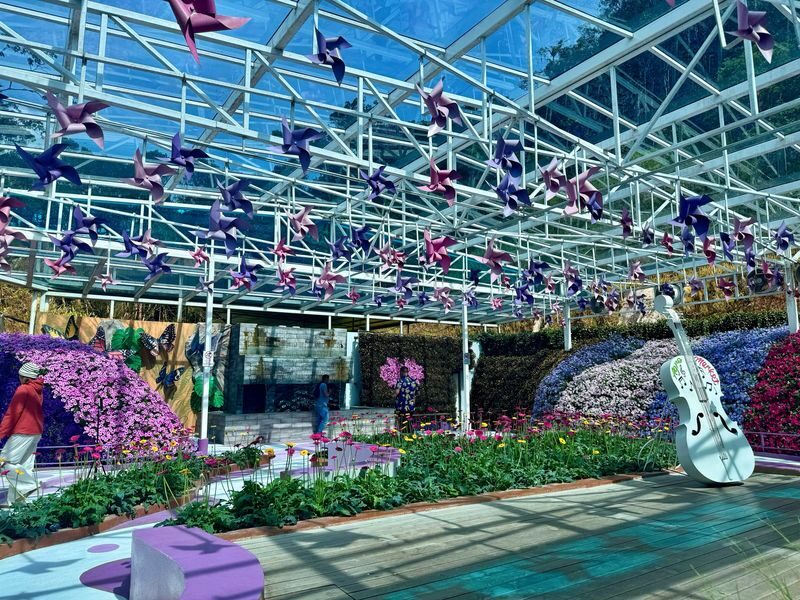 Cameron Highlands Guided Day Tour with Lunch (SIC) - Who should book this day trip?