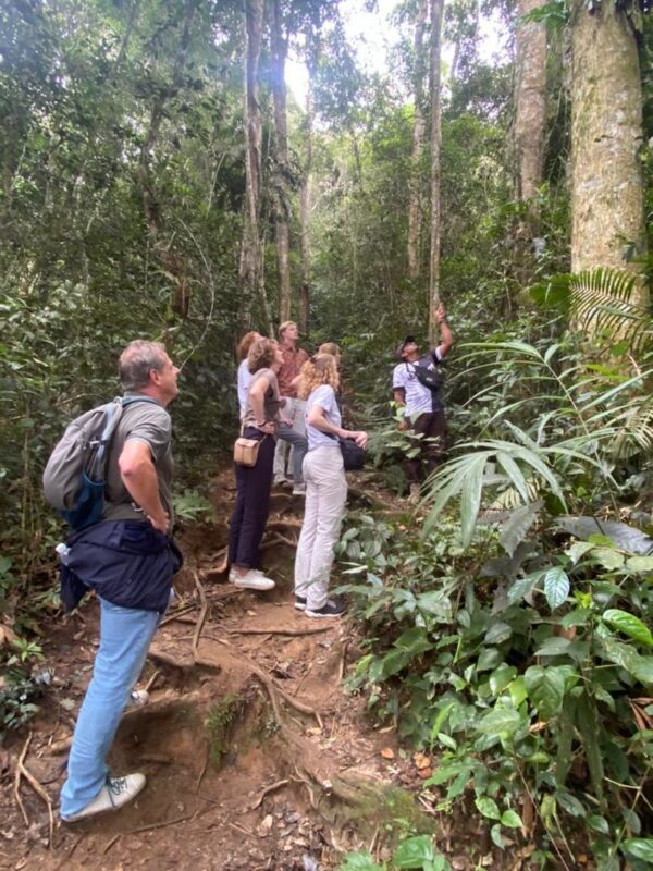 Cameron Highlands - Hit The Trails - At a glance